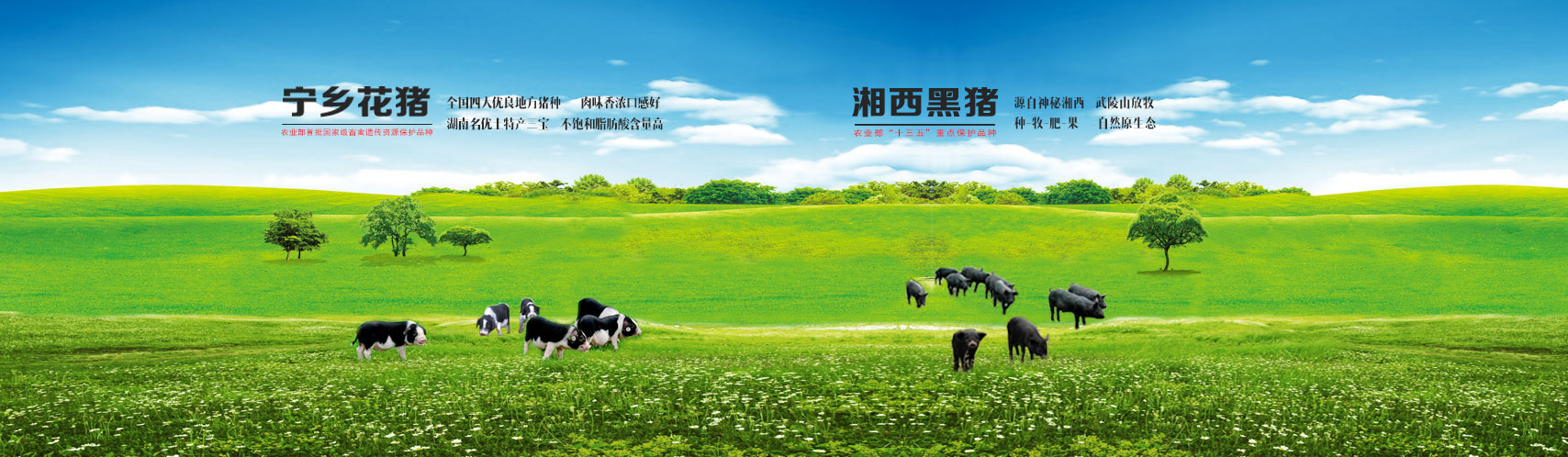 亚游集团·ag8(中国游)官网 -只為非同凡享