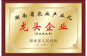 龙头企业.jpg